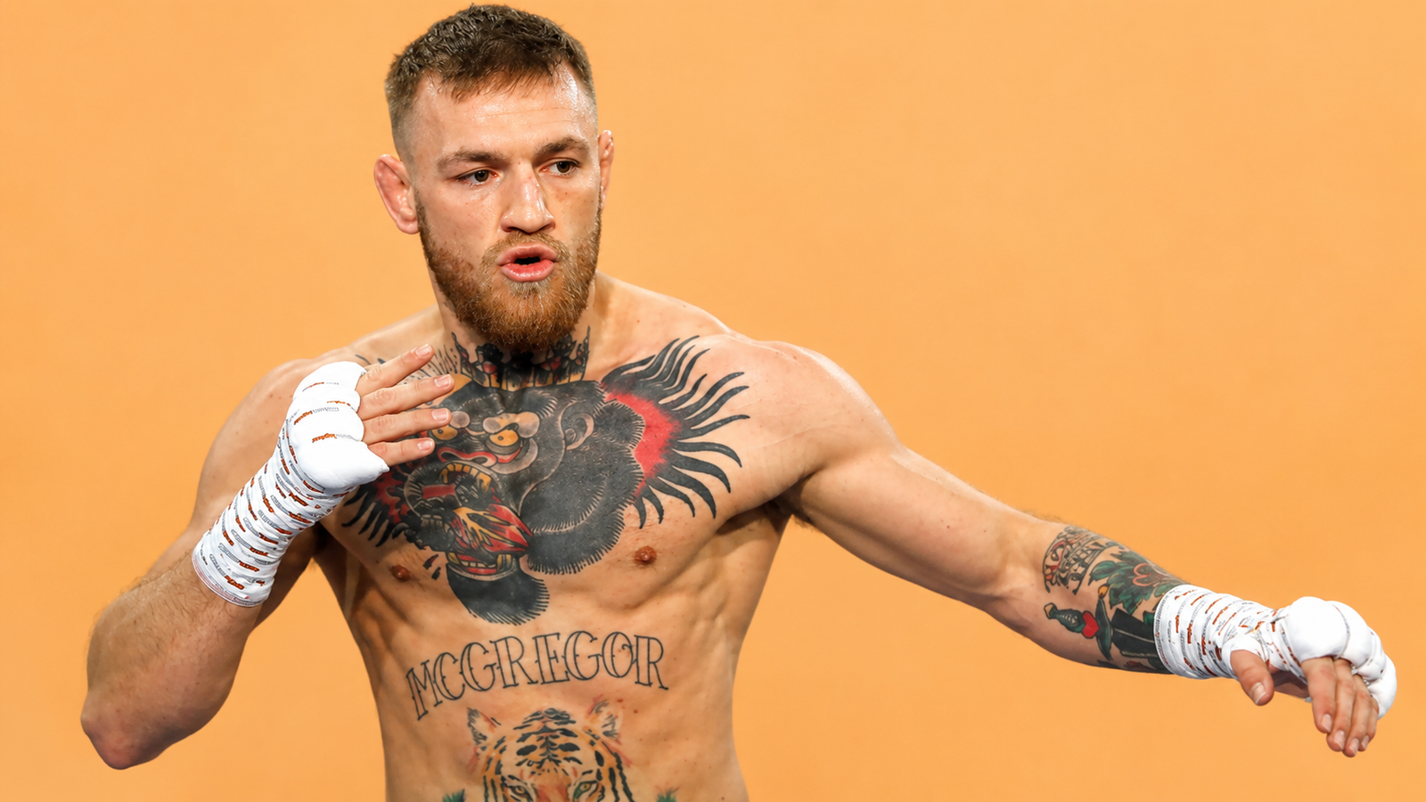 conor mcgregor net worth